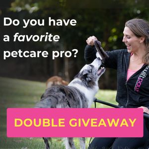 Image post by @swiftpaws_official on Instagram
