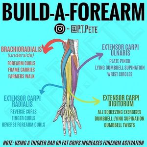 Image post by @p.t.pete on Instagram