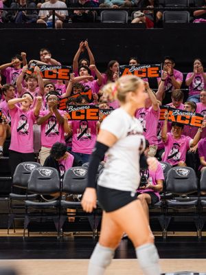 Image post by @beavervball on Instagram