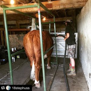 Image post by @nationalwestern on Instagram