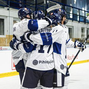 Image post by @leijonatfi on Instagram
