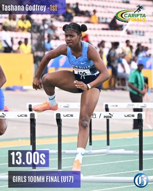 Image post by @jamaicagleaner on Instagram