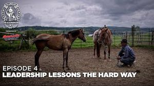 Video post by @officialcowboychannel on YouTube