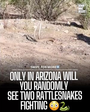 Image post by @downinnadesert on Instagram