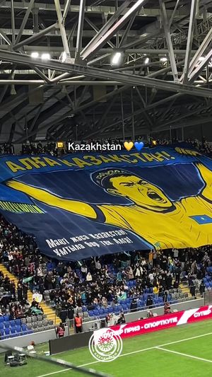 Video post by @kff.team on TikTok