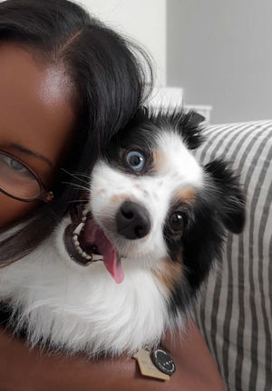 Video post by @lizaotovo on TikTok