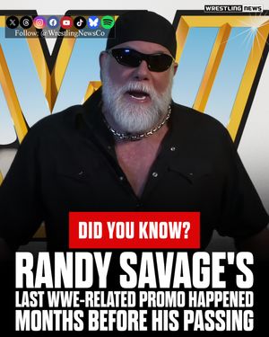 Image post by @wrestlingnewsco on Instagram