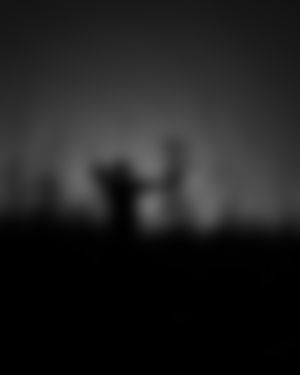 Image post by @natereimers on Instagram