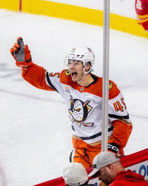 Image post by @nhlpa on Instagram