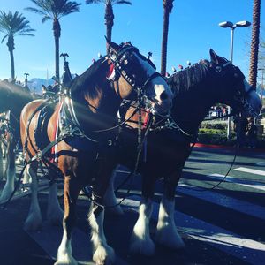 Image post by @stationcasinos on Instagram