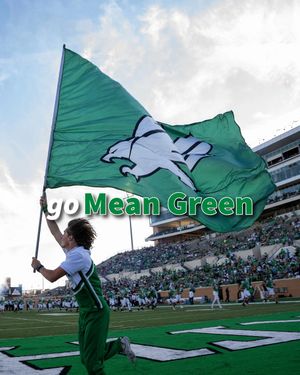 Image post by @unt on Instagram