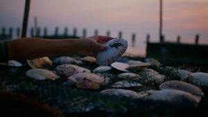 Video post by @cathaypacific on YouTube