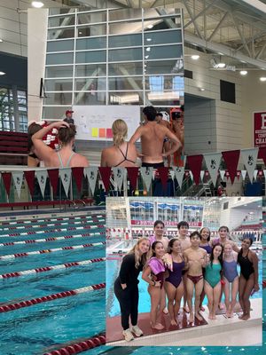 Image post by @terrierswimdive on Instagram