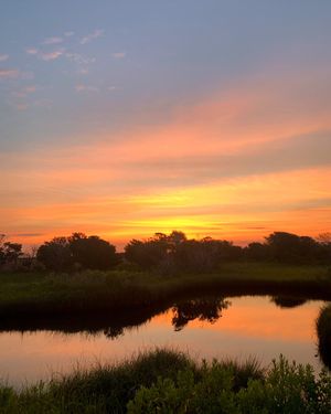 Image post by @kiawahresort on Twitter