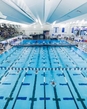 Image post by @byuswimdive on Instagram