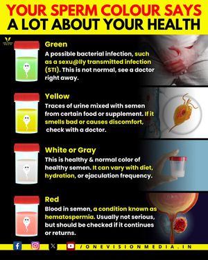 Image post by @onevisionmedia.in on Instagram