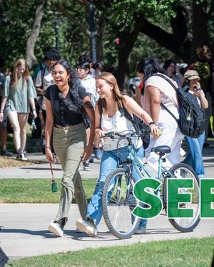 Image post by @unt on Instagram