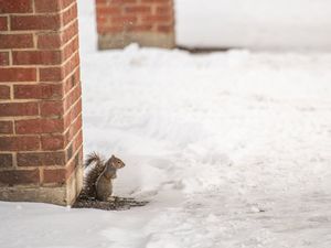 Image post by @ohiostudentlife on Instagram