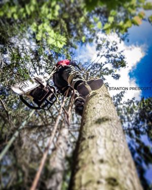 Image post by @stantonhunterphoto on Instagram