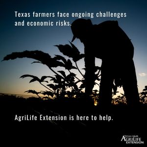 Image post by @txextension on Instagram