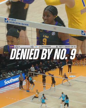 Image post by @lsuvolleyball on Instagram