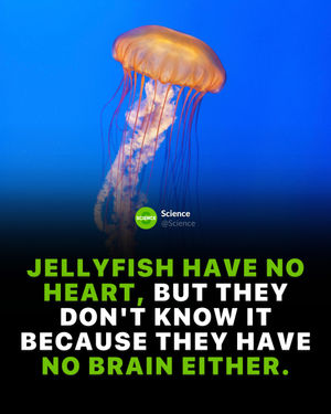 Image post by @science on Instagram