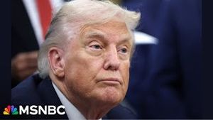 Video post by @msnbc on YouTube