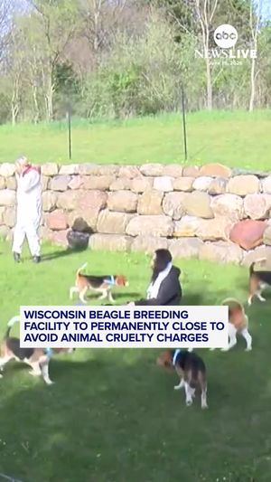 Video post by @abcnewslive on TikTok