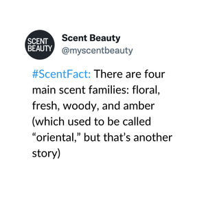 Image post by @scentbeauty on Instagram