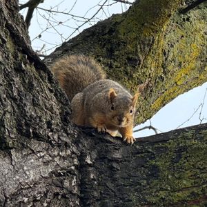 Image post by @wsupullman on Instagram