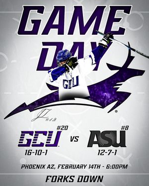 Image post by @lopeswhockey on Instagram