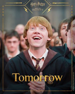 Image post by @harrypotter on Instagram