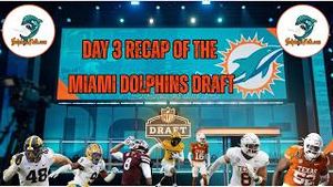 Video post by @dolphinstalk on YouTube