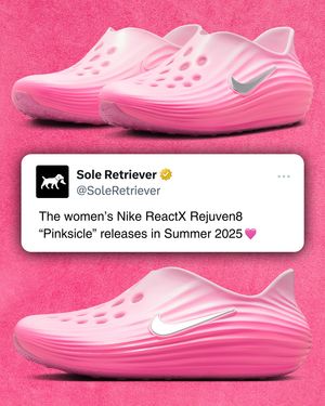 Image post by @soleretriever on Instagram
