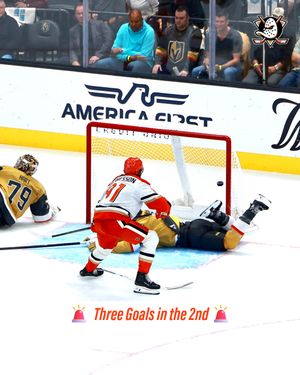 Image post by @anaheimducks on Instagram