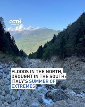 Image post by @cgtneurope on Instagram