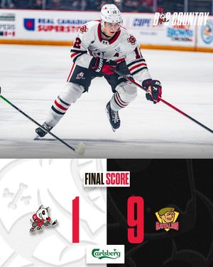 Image post by @ohlicedogs on Instagram