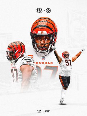 Image post by @bengals on Instagram