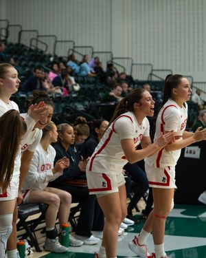 Image post by @terrierwbb on Instagram
