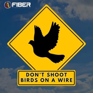 Image post by @TombigbeeFiber on Facebook