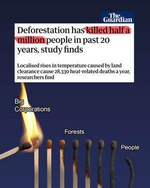 Image post by @greenpeace on Instagram