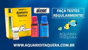 Image post by @aquarioitaquera on Instagram