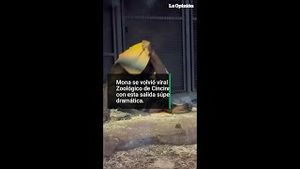 Video post by @laopinionla on YouTube