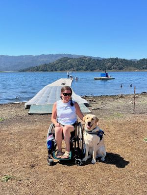 Image post by @canineorg on Instagram