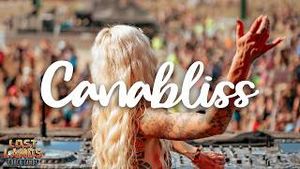 Video post by @lostlandsmusicfestival on YouTube