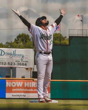 Image post by @gowoodducks on Instagram