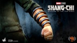 Image post by @hottoysofficial on Twitter