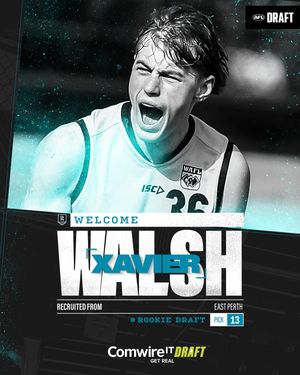 Image post by @pafc on Instagram