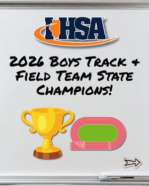 Image post by @ihsa_il on Instagram