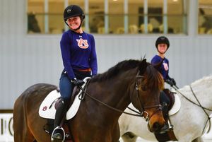 Image post by @auburnequestrian on Instagram